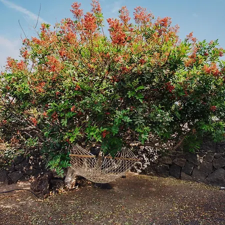 Marina Deluxe & Pool بلايا بلانكا