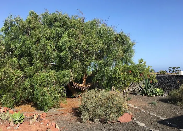 Marina Deluxe & Pool *