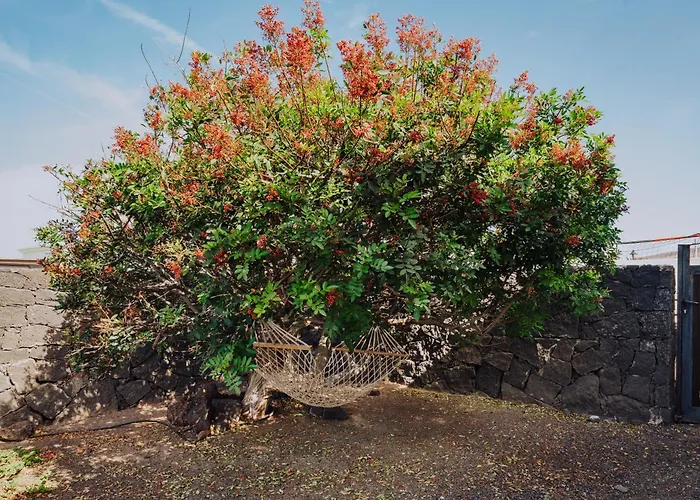 Marina Deluxe & Pool بلايا بلانكا